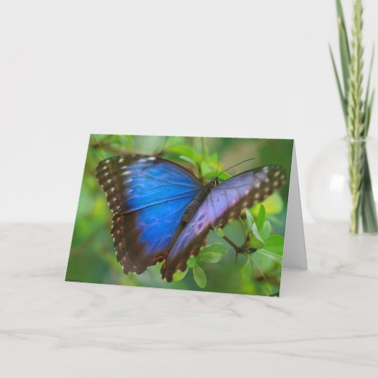 Blue Butterfly Card Karte (Vorderseite)