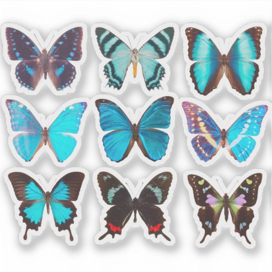 Blue Butterfly Collection 4" Vinyl Sticker (Vorderseite)