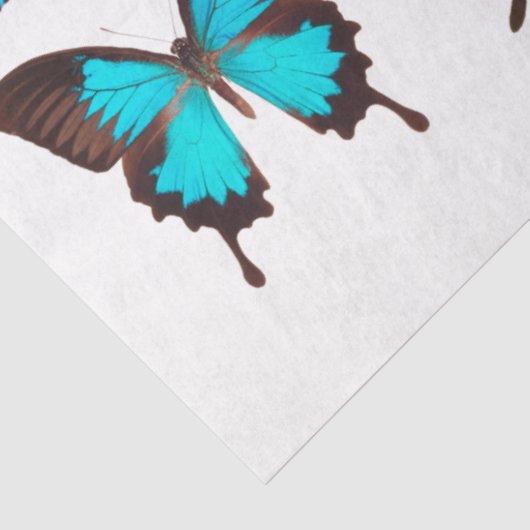 Blue Butterfly Collection Decoupage Seidenpapier (Ausschnitt)