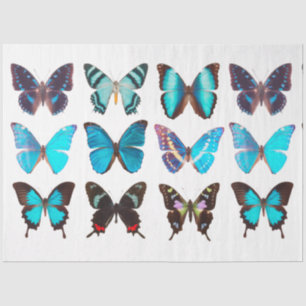 Blue Butterfly Collection Decoupage Seidenpapier