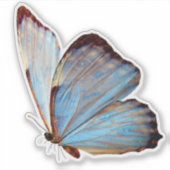 Blue Butterfly Decorative Custom Vinyl Sticker (Vorderseite)