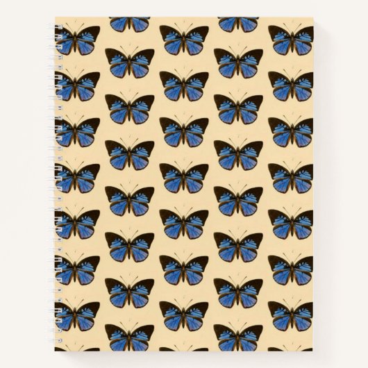 Blue Butterfly Hardcover Spiral Sketchbook Notizblock (Vorderseite)