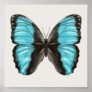 Blue Butterfly Insect Art Lover Poster