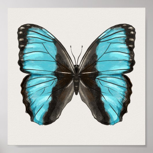 Blue Butterfly Insect Art Lover Poster (Vorne)