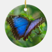 Blue Butterfly Keramik Ornament (Hinten)