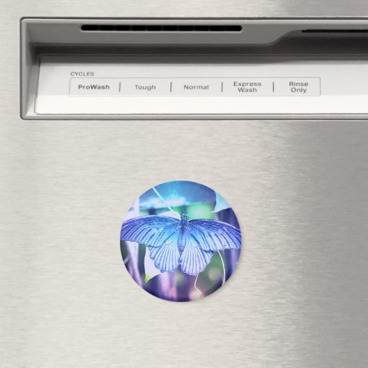 Blue Butterfly Magnet (In Situ (Geschirrspüler))