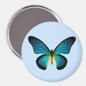 Blue Butterfly Magnet (Vorderseite/Rückseite)
