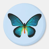 Blue Butterfly Magnet (Vorne)