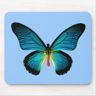 Blue Butterfly Maus Pad Mousepad
