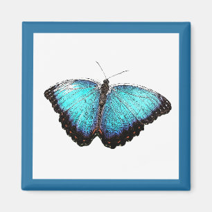 Blue Butterfly Nature Art, Fine Foto Illustration Magnet