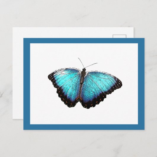 Blue Butterfly Nature Art, Fine Foto Illustration Postkarte (Vorne/Hinten)