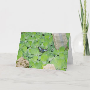 "Blue Butterfly"-Osterkarte Karte