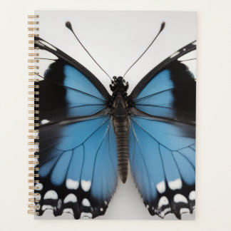 Blue butterfly planner planer
