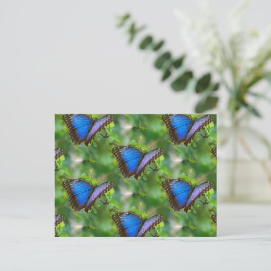 Blue Butterfly Postcard Postkarte (Stehend Vorderseite)
