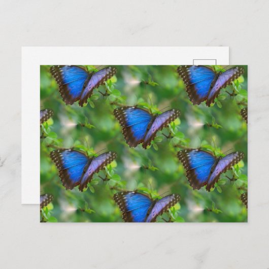 Blue Butterfly Postcard Postkarte (Vorne/Hinten)