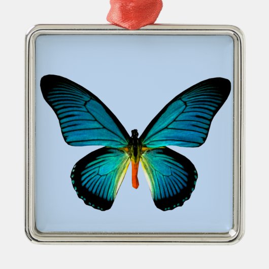 Blue Butterfly Square Ornament (Vorne)
