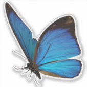 Blue Butterfly Sticker (Vorderseite)