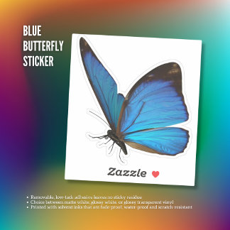 Blue Butterfly Sticker