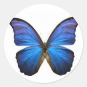Blue Butterfly Stickers (Vorderseite)
