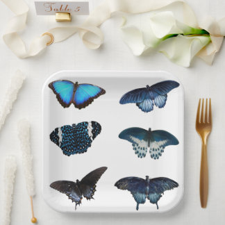 Blue Butterfly-Teller Pappteller