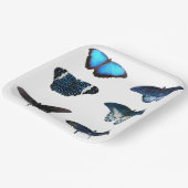 Blue Butterfly-Teller Pappteller (Gewinkelt)