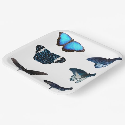 Blue Butterfly-Teller Pappteller (Gewinkelt)