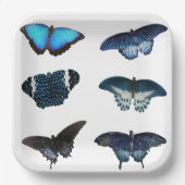 Blue Butterfly-Teller Pappteller (Vorderseite)