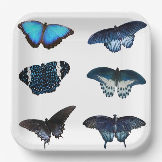 Blue Butterfly-Teller Pappteller (Vorderseite)