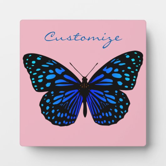 Blue Butterfly Thunder_Cove Fotoplatte (Vorderseite)