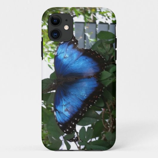 BLUE BUTTERY Case-Mate iPhone HÜLLE (Rückseite)
