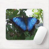 BLUE BUTTERY MOUSEPAD (Mit Mouse)