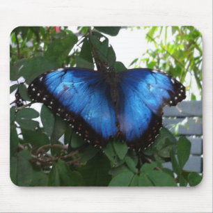 BLUE BUTTERY MOUSEPAD