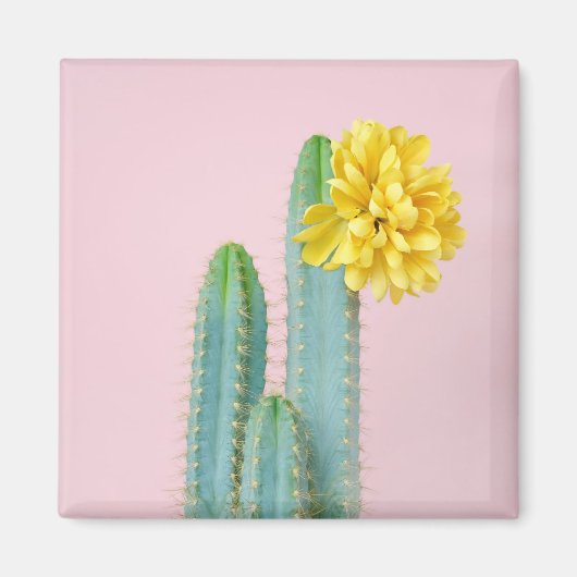 Blue Cactus Trio Magnet (Vorne)