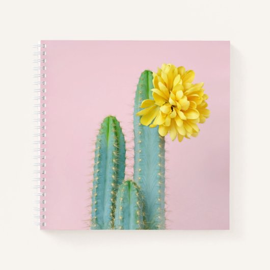 Blue Cactus Trio Notizblock (Vorderseite)