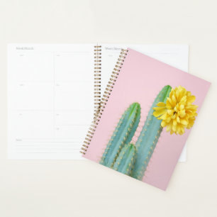 Blue Cactus Trio Planer