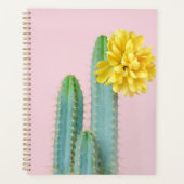 Blue Cactus Trio Planer (Vorderseite)