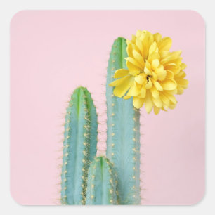 Blue Cactus Trio Quadratischer Aufkleber