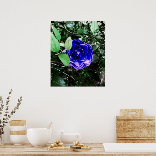 Blue Camellia 401 Poster (Küche)