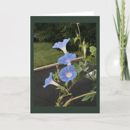 Blue Cascade Morning Glory Blank Karte