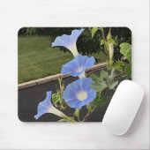 Blue Cascade Morning Glory Close-up Mousepad (Mit Mouse)