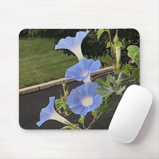 Blue Cascade Morning Glory Close-up Mousepad (Mit Mouse)