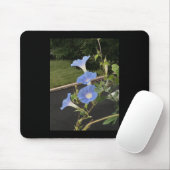 Blue Cascade Morning Glory Mousepad (Mit Mouse)