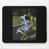 Blue Cascade Morning Glory Mousepad (Vorne)