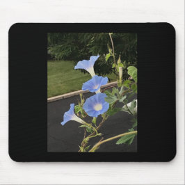Blue Cascade Morning Glory Mousepad