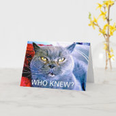 Blue Cat 60. Geburtstagskarte Karte (Gelbe Blume)