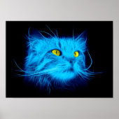 Blue Cat Face Poster (Vorne)