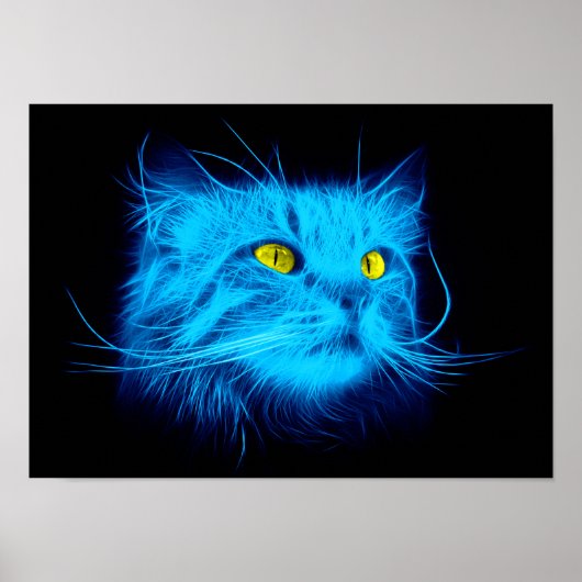 Blue Cat Face Poster (Vorne)