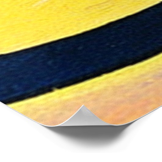 Blue Cat Poster (Ecke)