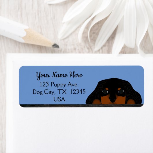 Blue Cavalier King Charles Spaniel Puppy Dog (Insitu)