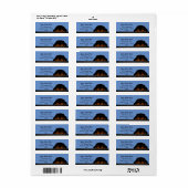 Blue Cavalier King Charles Spaniel Puppy Dog (Vorne)